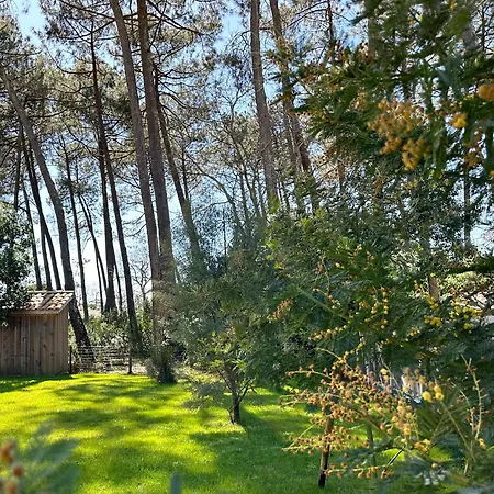 Villa Sophie Lanton